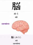 Carne