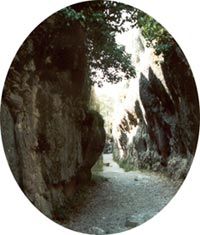 puerta