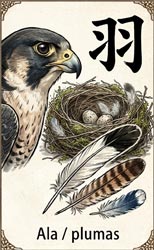 Plumas, alas