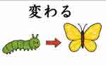jlpt4 2