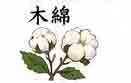 jlpt4 3