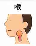 JLPT4  Vocabulario3-3