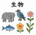 JLPT4  Vocabulario3-3