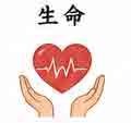 JLPT4  Vocabulario3-3
