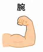 JLPT4  Vocabulario3-3