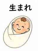 JLPT4  Vocabulario3-3