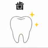 jlpt5-2a