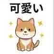 jlpt5 3b