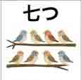 jlpt5 4c
