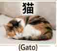 jlpt5 4c