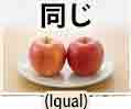 jlpt5 5a