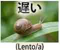 jlpt5 5a