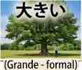 jlpt5 5a