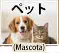 jlpt5 5b