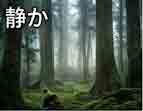 jlpt5 6a