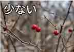 jlpt5 6a