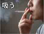 jlpt5 6b