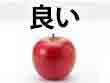 jlpt5 7b
