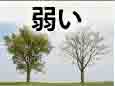jlpt5 7b